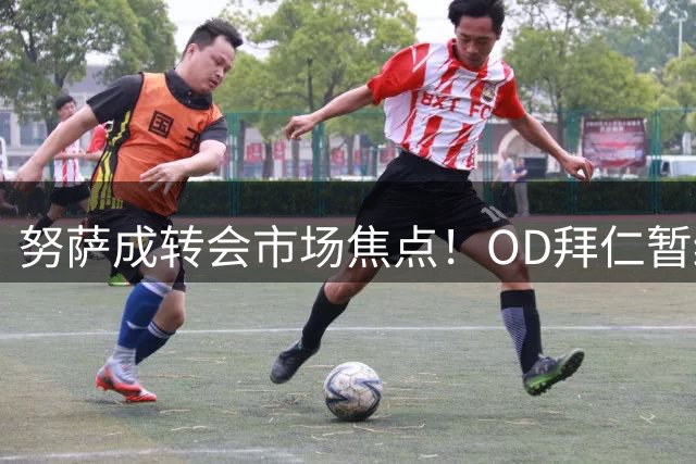 努萨成转会市场焦点！OD拜仁暂缓行动，纽卡斯尔迎来引援良机